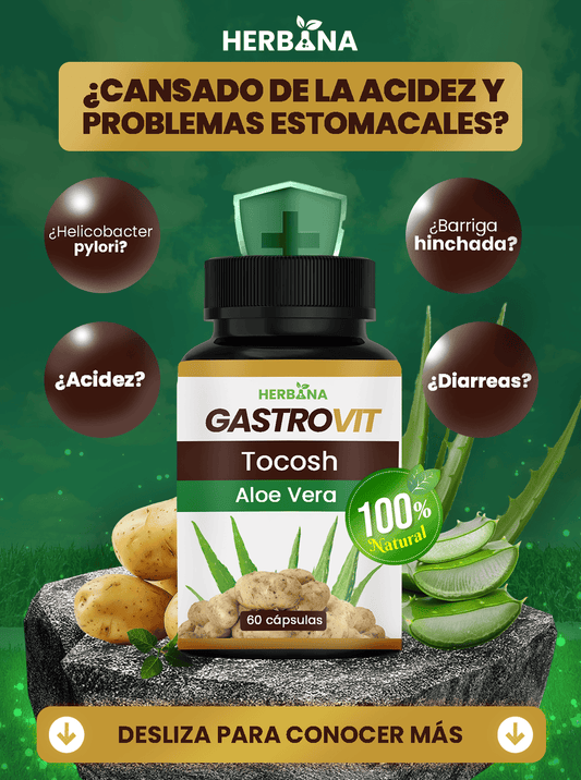 Gastro Vit - Tocosh y Aloe vera.